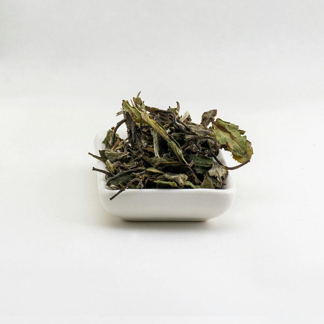 Foglie di tè bianco cinese Bai Mu Dan